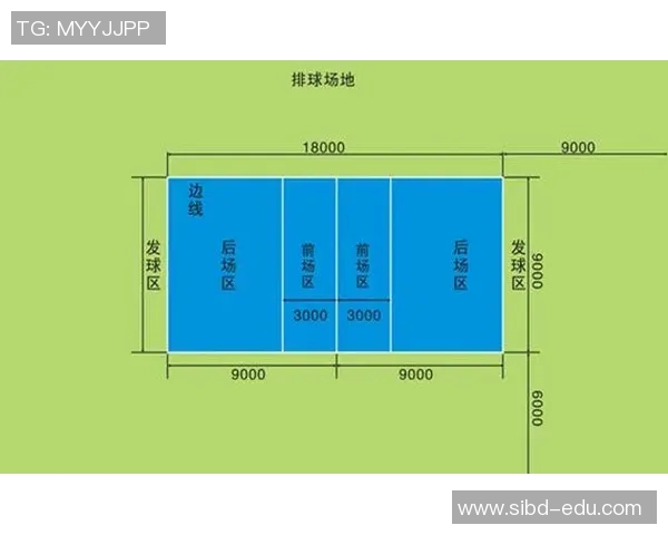 武汉排球队比赛经验深度对比分析与启示探讨
