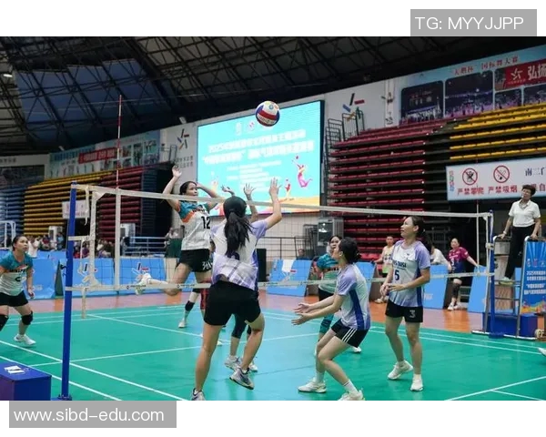 武汉排球队的崛起与奋斗精神探讨排球运动的魅力与团队力量